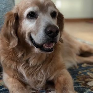 Meet your Posher, Kevin